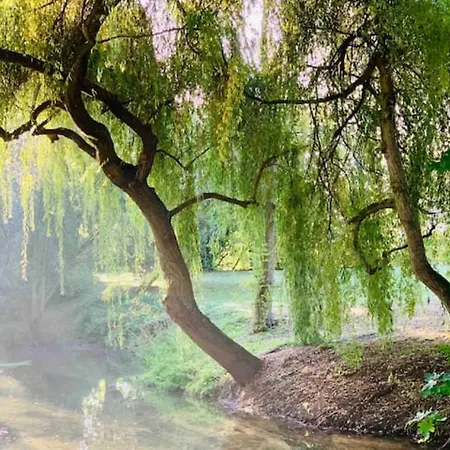 Ile De Malvy Saint-Simeux